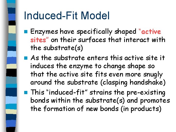 Induced-Fit Model Enzymes have specifically shaped “active sites” on their surfaces that interact with