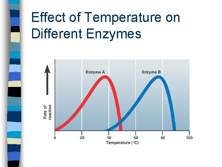 Effect of Temperature on Different Enzymes 