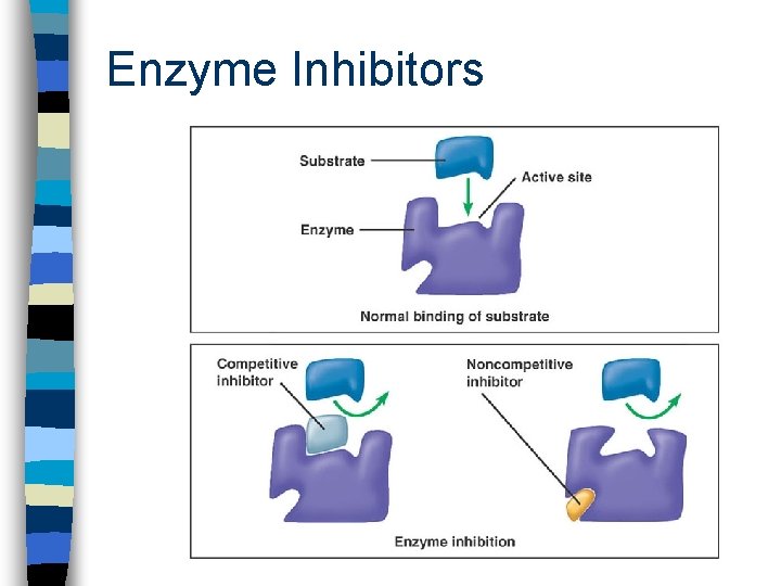 Enzyme Inhibitors 