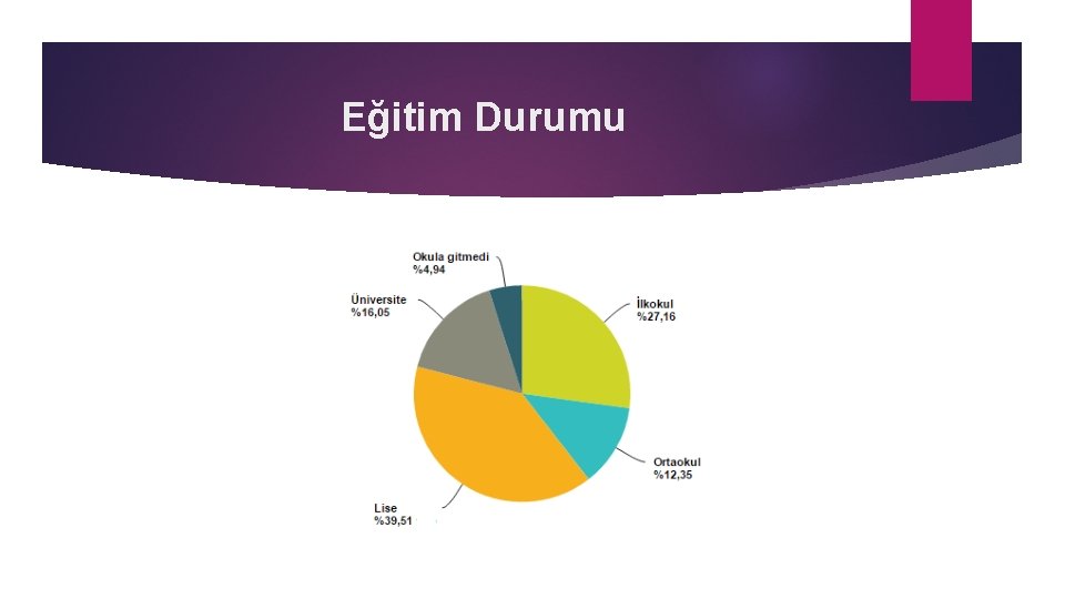 Eğitim Durumu 