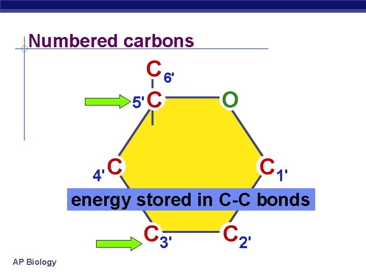 Numbered carbons C 6' 5' C O C 4' C 1' energy stored in