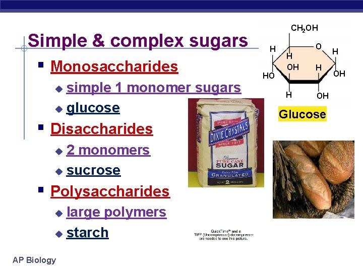 Simple & complex sugars § Monosaccharides simple 1 monomer sugars u glucose u §