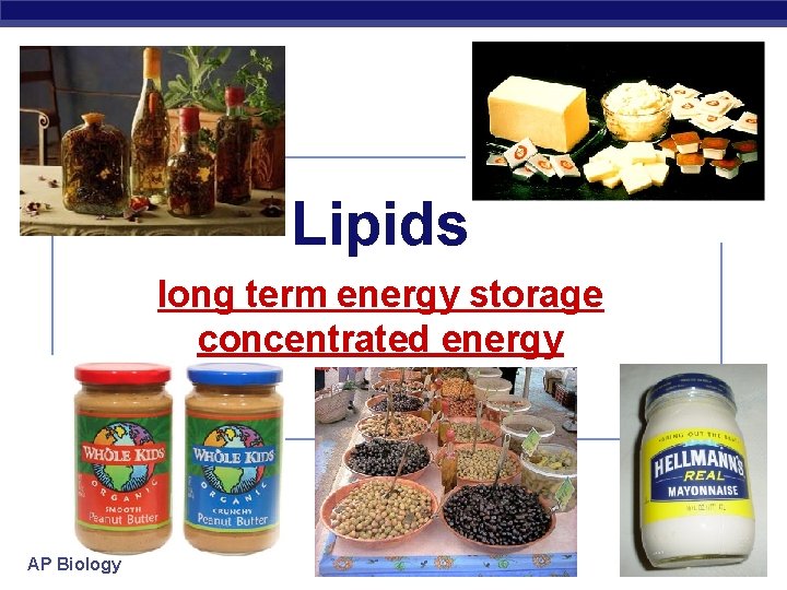 Lipids long term energy storage concentrated energy AP Biology 2006 -2007 