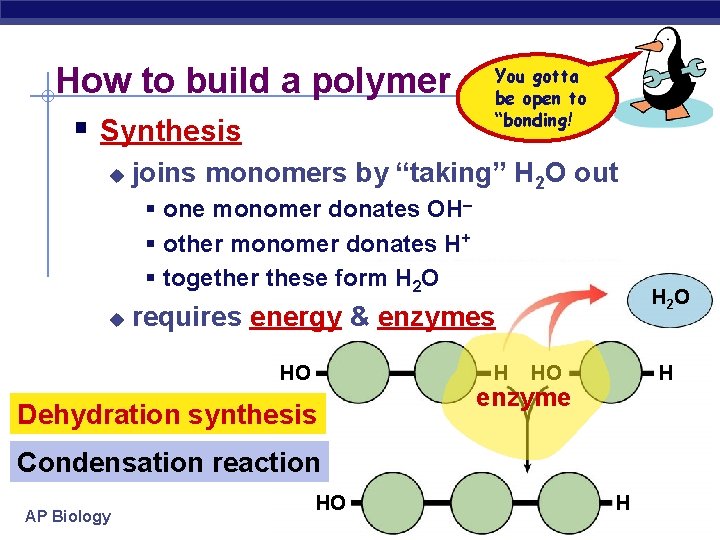 How to build a polymer § Synthesis u You gotta be open to “bonding!