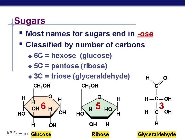 Sugars § Most names for sugars end in -ose § Classified by number of