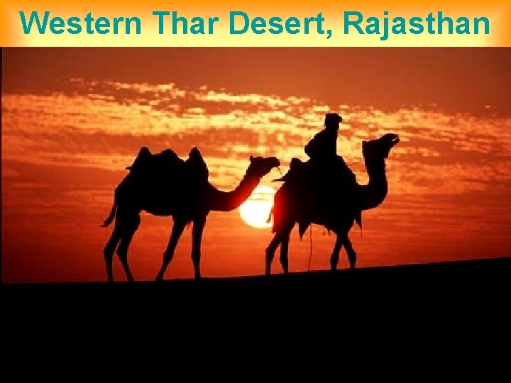 Western Thar Desert, Rajasthan 