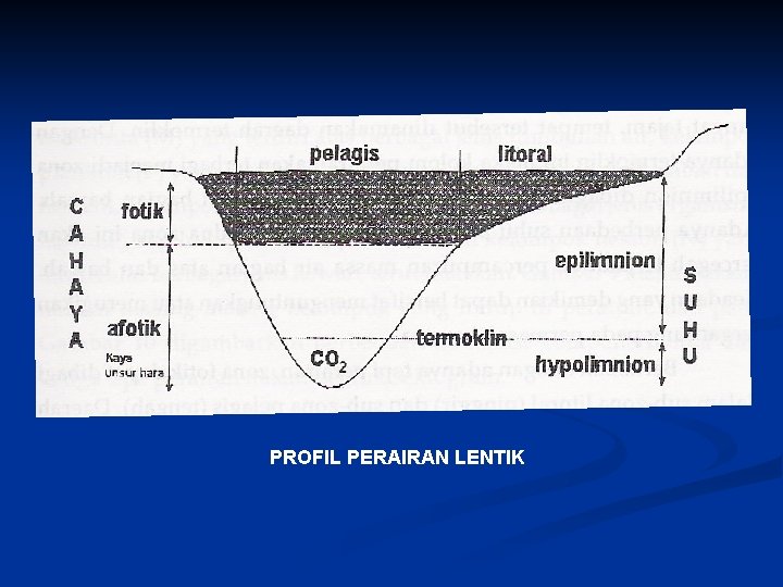 PROFIL PERAIRAN LENTIK 