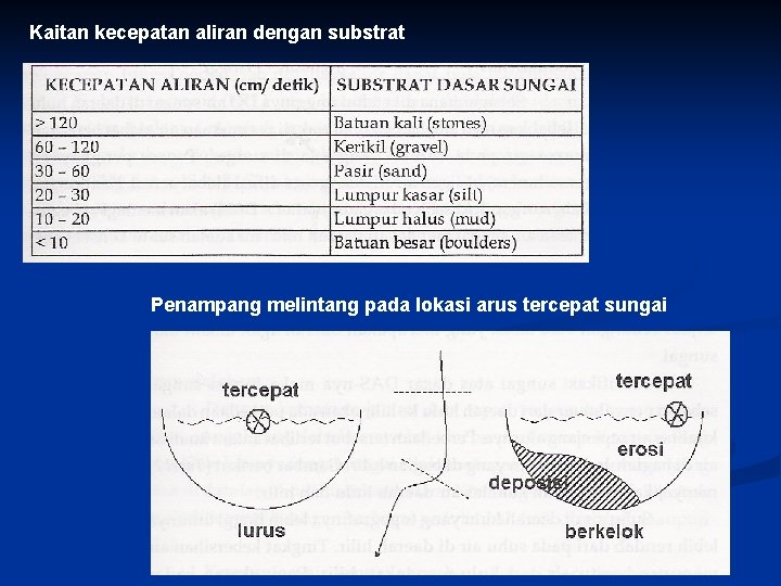 Kaitan kecepatan aliran dengan substrat Penampang melintang pada lokasi arus tercepat sungai 