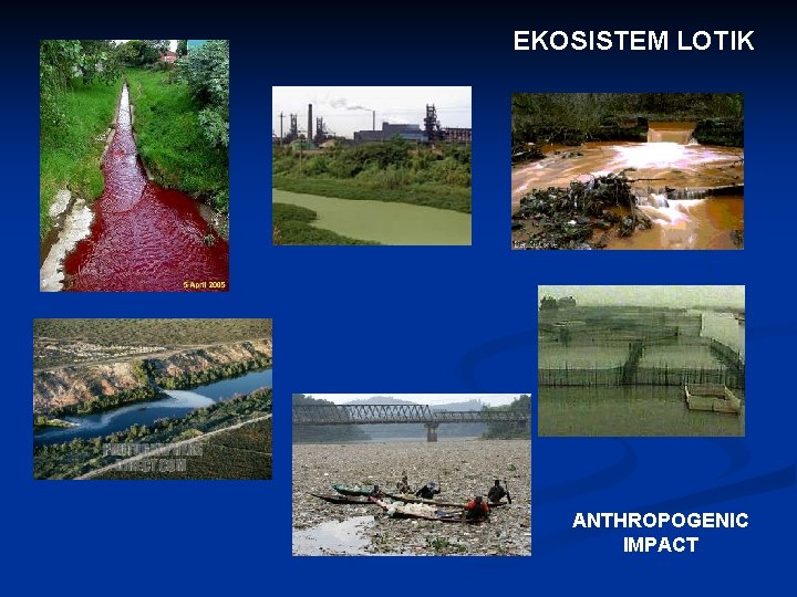 EKOSISTEM LOTIK ANTHROPOGENIC IMPACT 