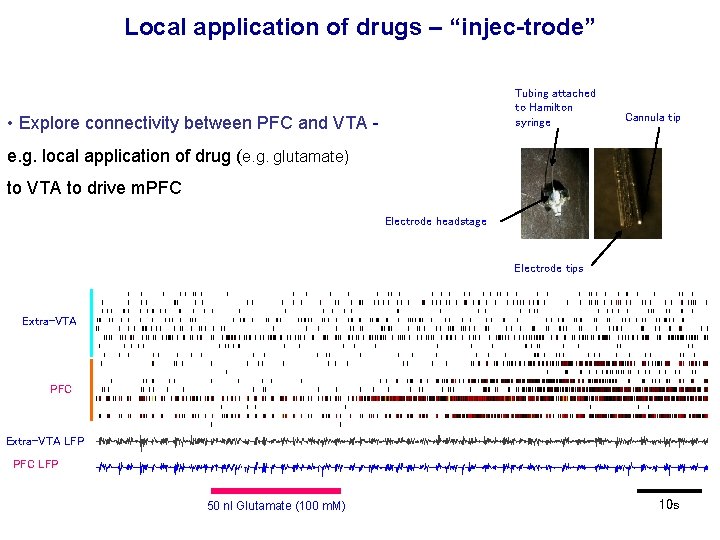 Local application of drugs – “injec-trode” Tubing attached to Hamilton syringe • Explore connectivity