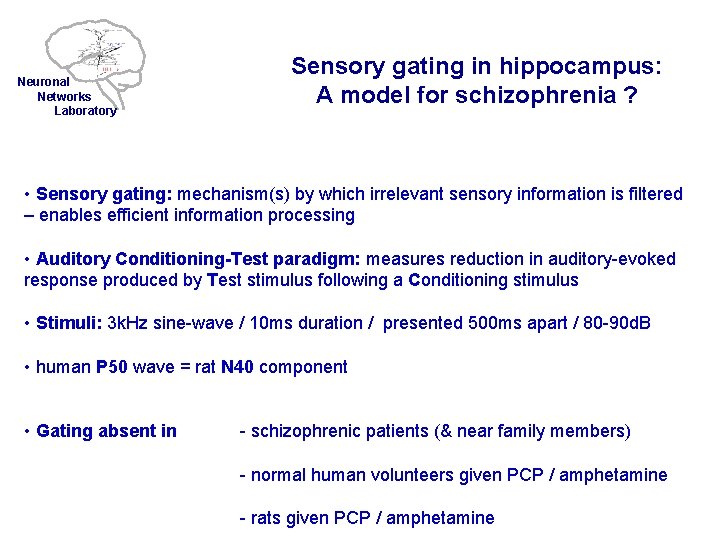 Neuronal Networks Laboratory Sensory gating in hippocampus: A model for schizophrenia ? • Sensory