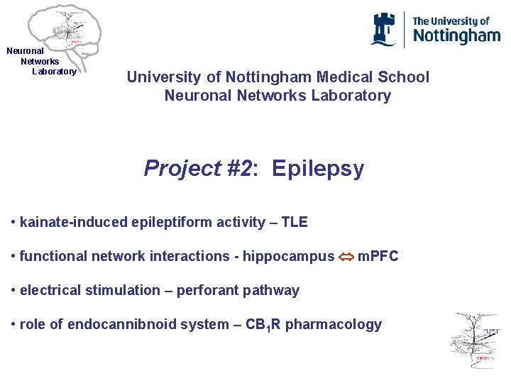 Neuronal Networks Laboratory University of Nottingham Medical School Neuronal Networks Laboratory Project #2: Epilepsy