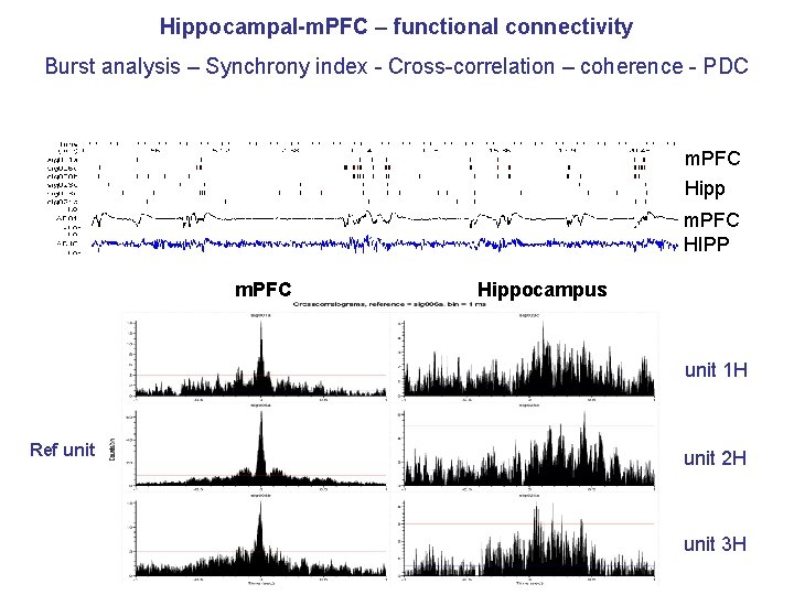 Hippocampal-m. PFC – functional connectivity Burst analysis – Synchrony index - Cross-correlation – coherence