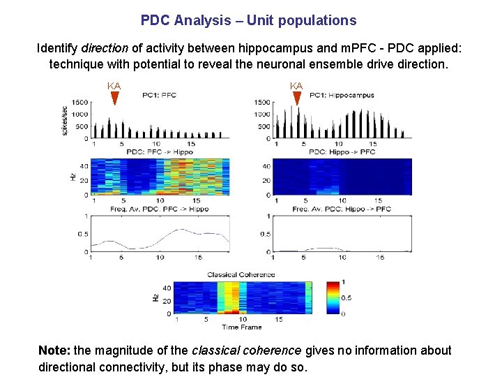 PDC Analysis – Unit populations Identify direction of activity between hippocampus and m. PFC