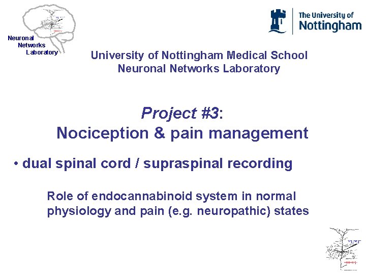Neuronal Networks Laboratory University of Nottingham Medical School Neuronal Networks Laboratory Project #3: Nociception