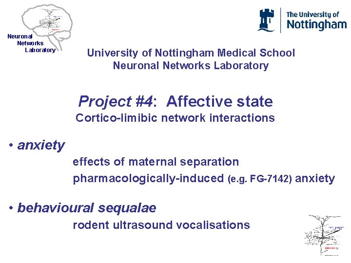 Neuronal Networks Laboratory University of Nottingham Medical School Neuronal Networks Laboratory Project #4: Affective