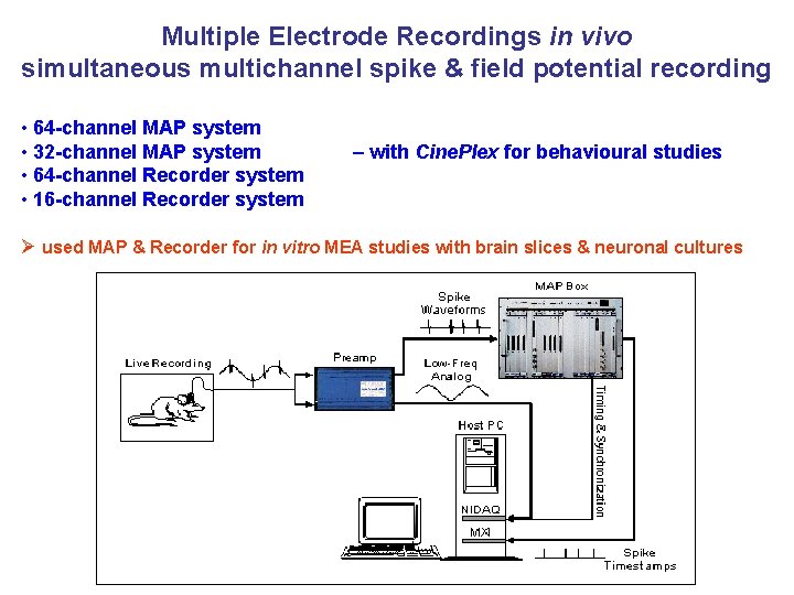 Multiple Electrode Recordings in vivo simultaneous multichannel spike & field potential recording • 64