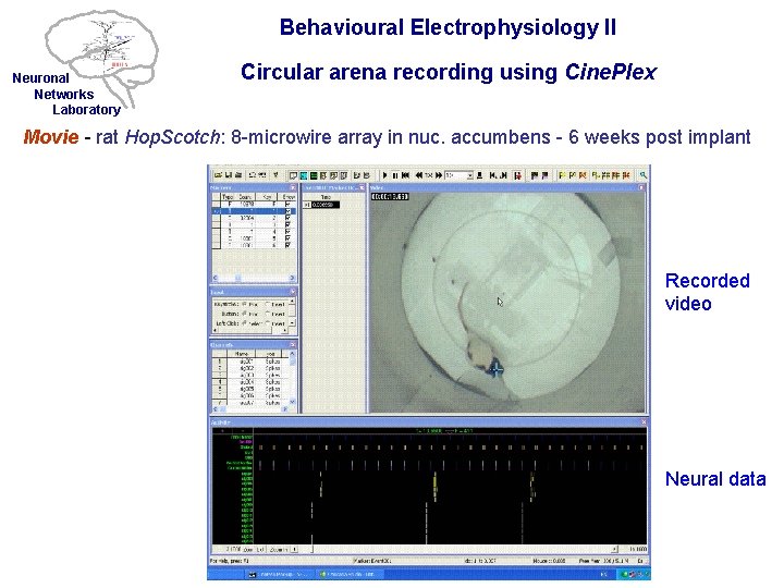 Behavioural Electrophysiology II Neuronal Networks Laboratory Circular arena recording using Cine. Plex Movie -