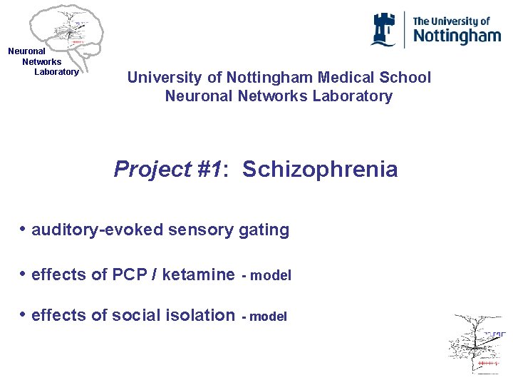 Neuronal Networks Laboratory University of Nottingham Medical School Neuronal Networks Laboratory Project #1: Schizophrenia