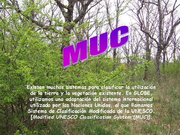 Existen muchos sistemas para clasificar la utilización de la tierra y la vegetación existente.