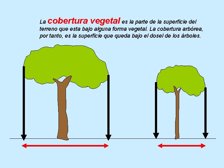 La cobertura vegetal es la parte de la superficie del terreno que esta bajo