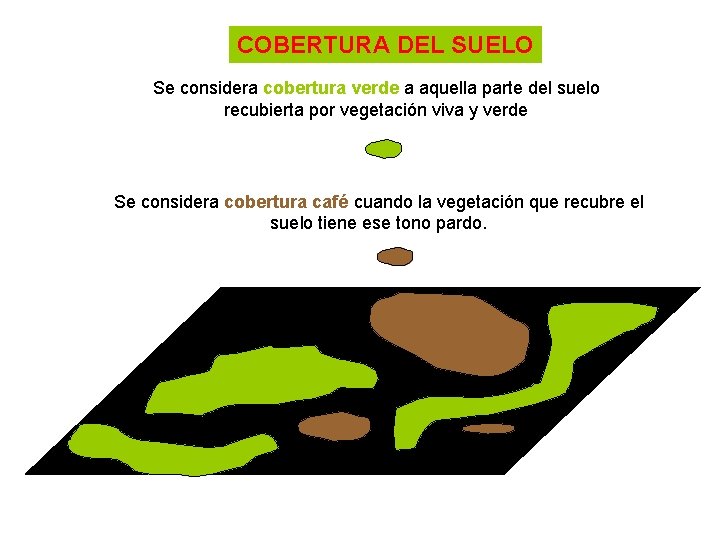 COBERTURA DEL SUELO Se considera cobertura verde a aquella parte del suelo recubierta por