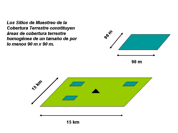 m 90 Los Sitios de Muestreo de la Cobertura Terrestre constituyen áreas de cobertura