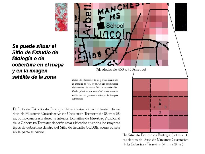 Se puede situar el Sitio de Estudio de Biología o de cobertura en el