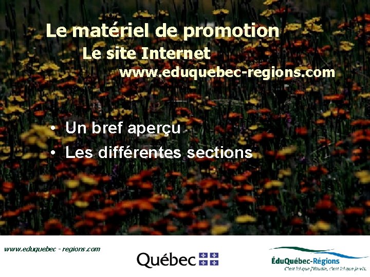 Le matériel de promotion Le site Internet www. eduquebec-regions. com • Le regroupement Édu.