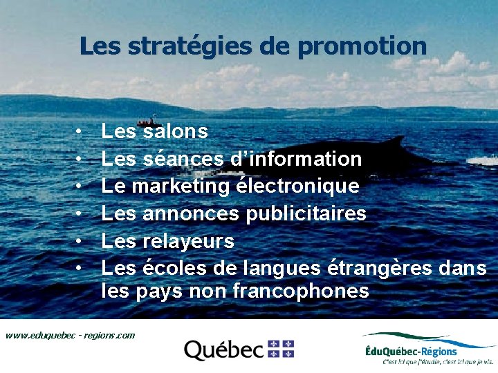 Les stratégies de promotion • Les salons • Le regroupement Édu. Québec-Régions • Les