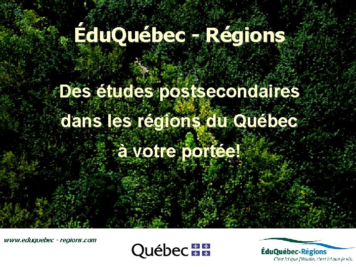 Édu. Québec - Régions Des études postsecondaires • Le regroupement Édu. Québec-Régions Ledécouverte regroupement