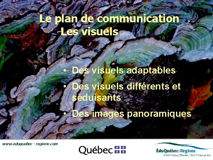 Le plan de communication Les visuels • Le regroupement Édu. Québec-Régions Ledécouverte regroupement •