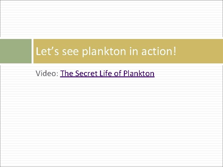 Let’s see plankton in action! Video: The Secret Life of Plankton 