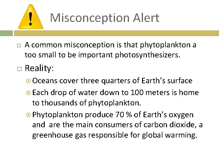 Misconception Alert A common misconception is that phytoplankton a too small to be important