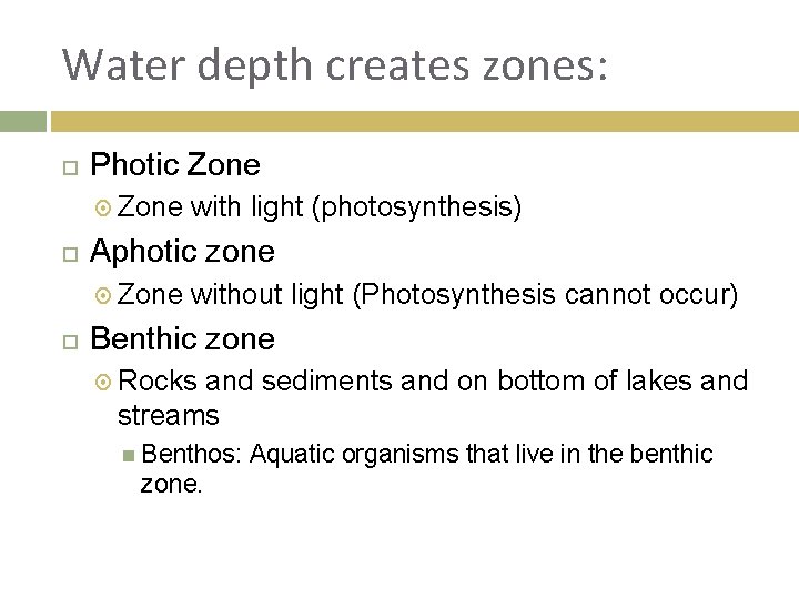 Water depth creates zones: Photic Zone Aphotic zone Zone with light (photosynthesis) without light