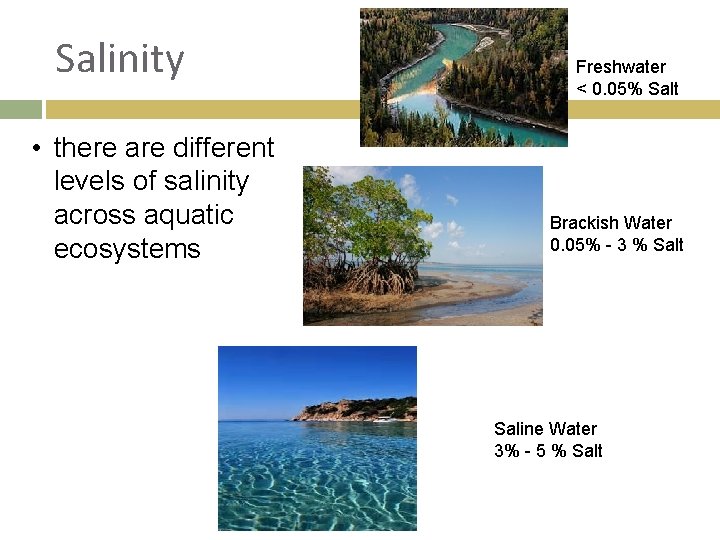 Salinity • there are different levels of salinity across aquatic ecosystems Freshwater < 0.