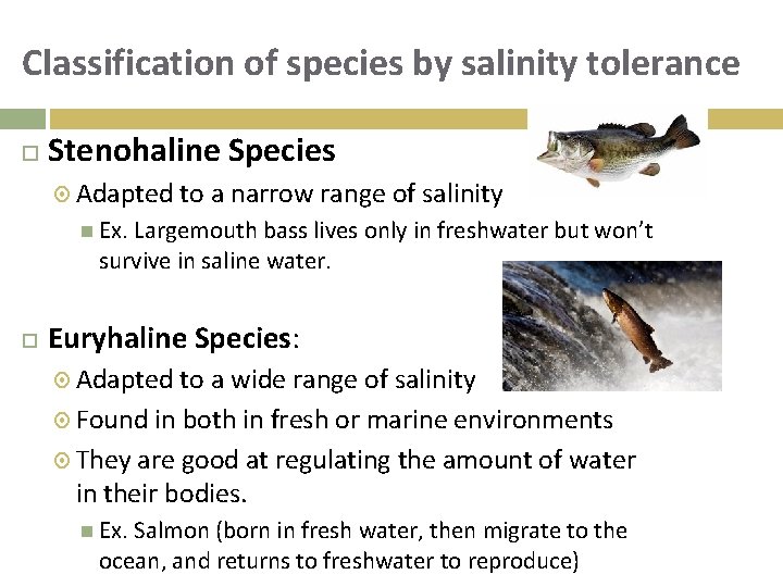 Classification of species by salinity tolerance Stenohaline Species Adapted to a narrow range of