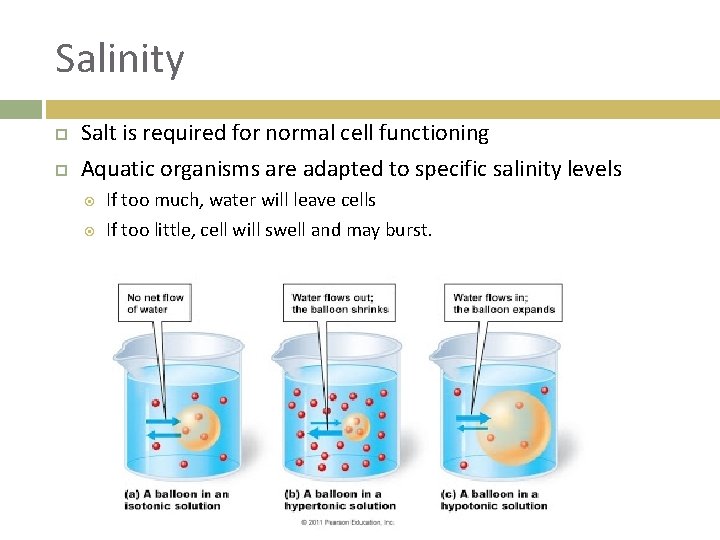 Salinity Salt is required for normal cell functioning Aquatic organisms are adapted to specific