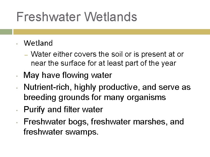 Freshwater Wetlands • Wetland – • • Water either covers the soil or is