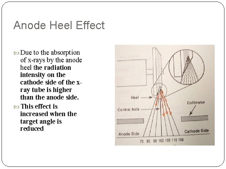 Anode Heel Effect Due to the absorption of x-rays by the anode heel the Anode Heel Effect Due to the absorption of x-rays by the anode heel the