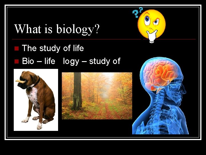 What is biology? The study of life Bio – life logy – study of