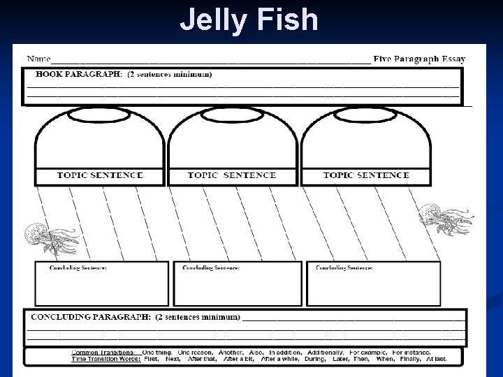 Jelly Fish 