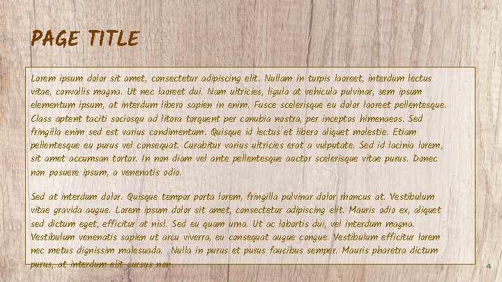 PAGE TITLE Lorem ipsum dolor sit amet, consectetur adipiscing elit. Nullam in turpis laoreet,