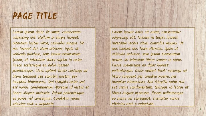 PAGE TITLE Lorem ipsum dolor sit amet, consectetur adipiscing elit. Nullam in turpis laoreet,