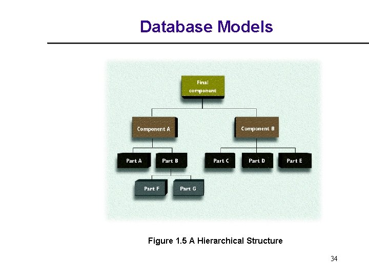 Database Models Figure 1. 5 A Hierarchical Structure 34 Database Models Figure 1. 5 A Hierarchical Structure 34