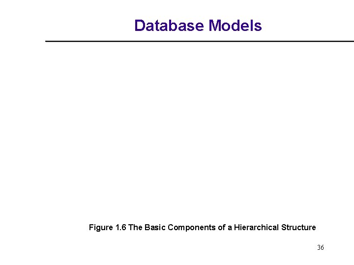 Database Models Figure 1. 6 The Basic Components of a Hierarchical Structure 36 Database Models Figure 1. 6 The Basic Components of a Hierarchical Structure 36