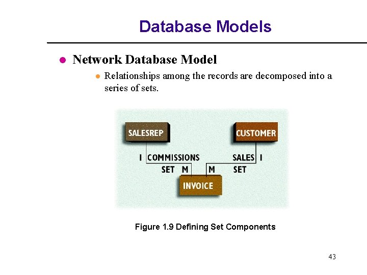 Database Models l Network Database Model l Relationships among the records are decomposed into Database Models l Network Database Model l Relationships among the records are decomposed into