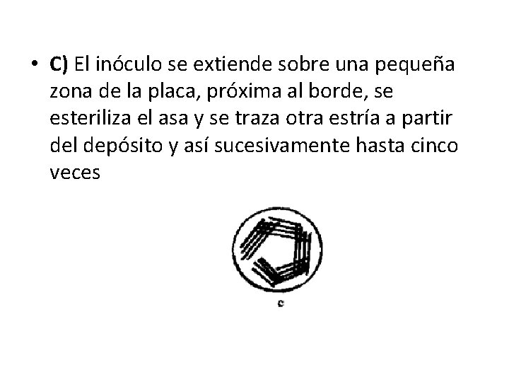  • C) El inóculo se extiende sobre una pequeña zona de la placa,