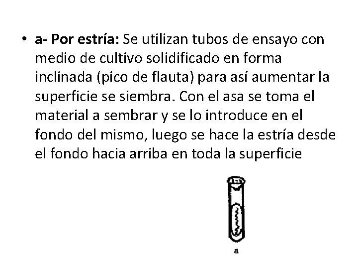  • a- Por estría: Se utilizan tubos de ensayo con medio de cultivo