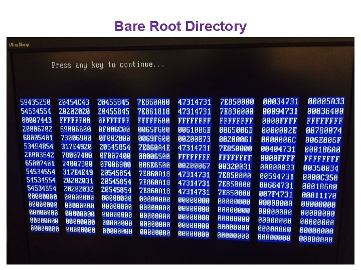 Bare Root Directory 16 